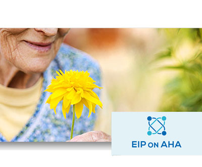 eip-on-aha-iniciativa-europea-kronikgune-basque-country